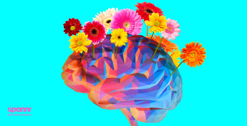 LSD: A Longevity Panacea or Pipedream?