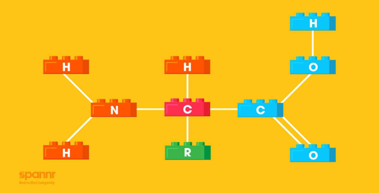 Peptide Therapy for Longevity - All You Need to Know